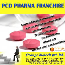 pharma franchise comany