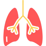 Respiratory Range
